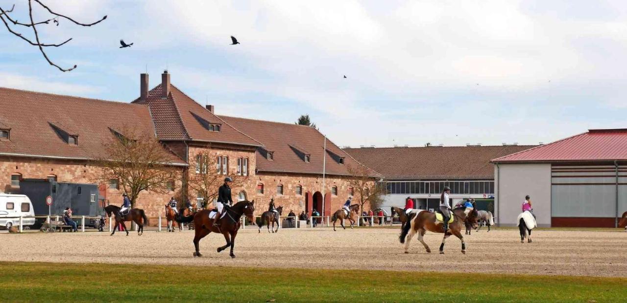Rosen Und Rosse Apartment Zweibrücken Екстериор снимка